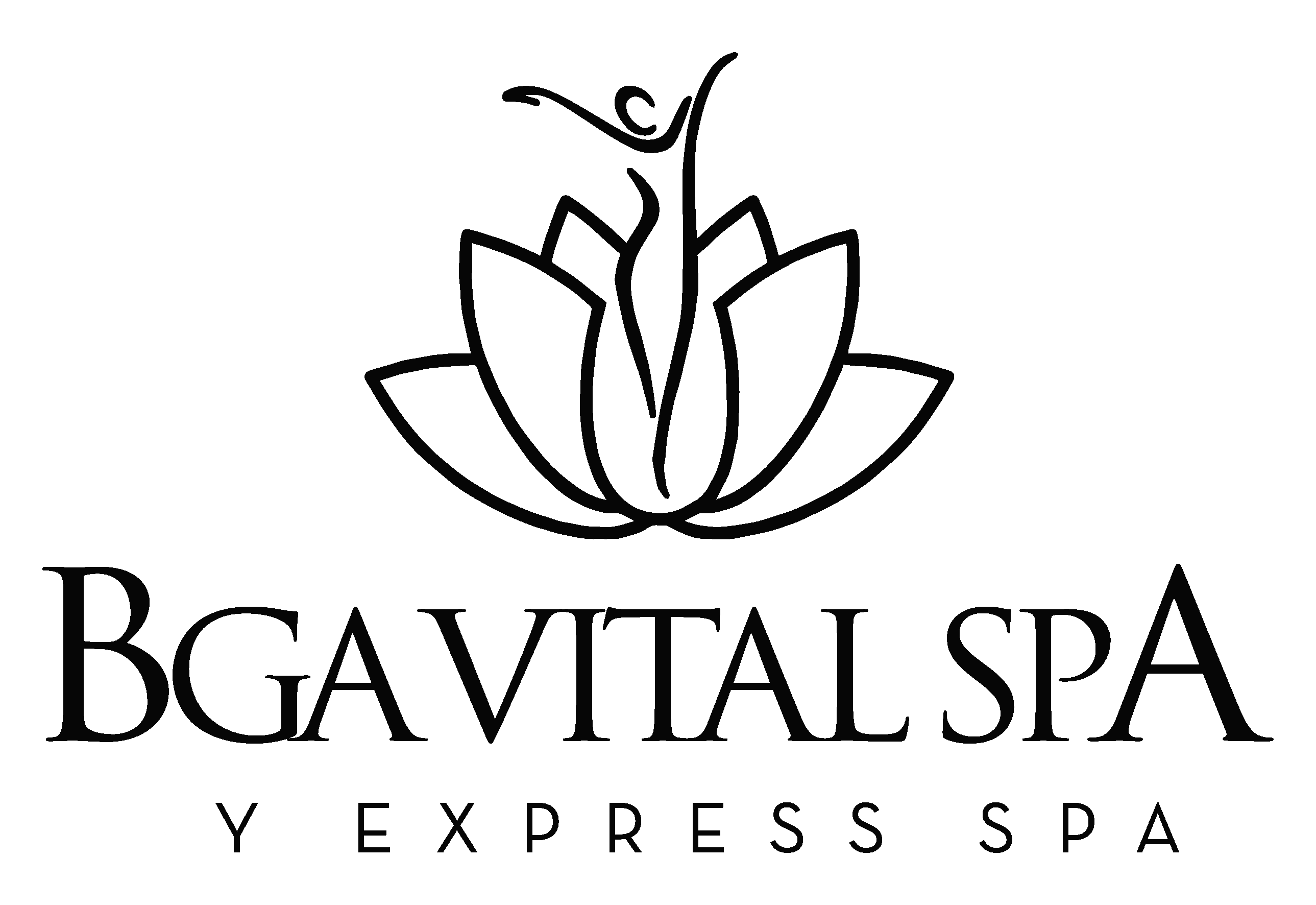 Spa Bga