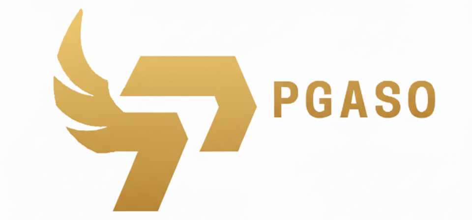Pgaso